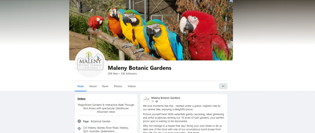 SFL - Maleny Botanic Gardens