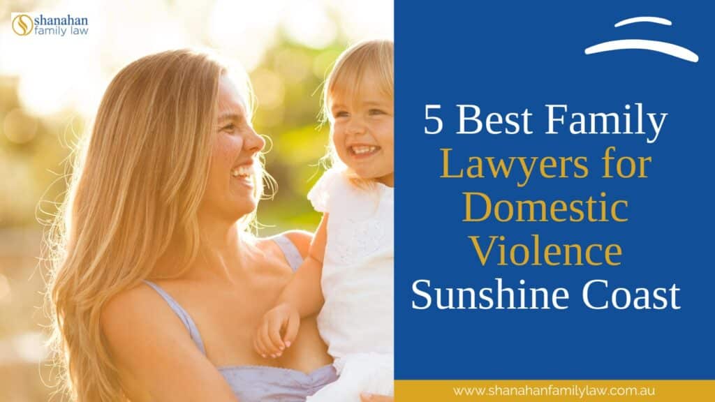 lawyers for domestic violence